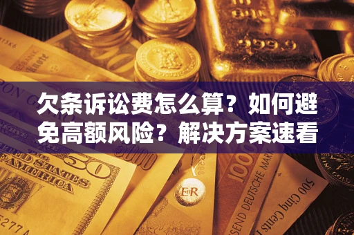 武汉欠条诉讼费怎么算？如何避免高额风险？解决方案速看！
