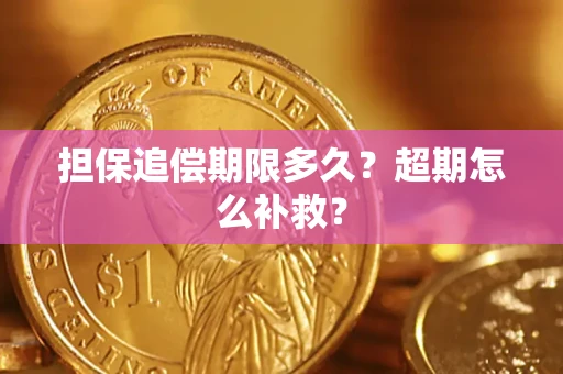武汉担保追偿期限多久？超期怎么补救？