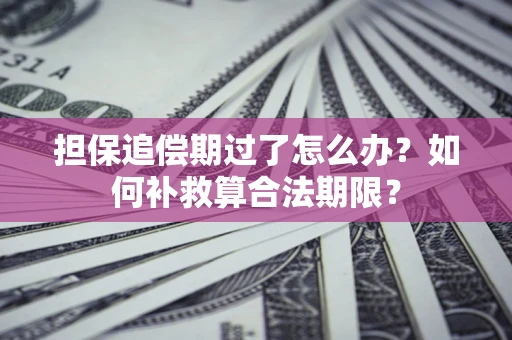 武汉担保追偿期过了怎么办？如何补救算合法期限？