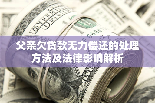 武汉父亲欠贷款无力偿还的处理方法及法律影响解析