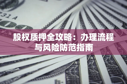 武汉股权质押全攻略：办理流程与风险防范指南